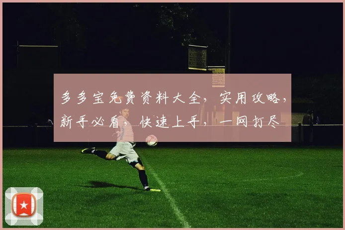多多宝免费资料大全，实用攻略，新手必看，快速上手，一网打尽