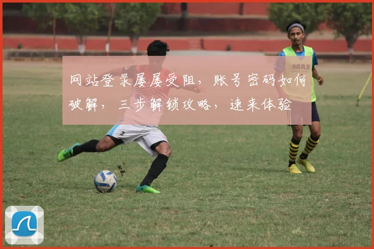 网站登录屡屡受阻，账号密码如何破解，三步解锁攻略，速来体验