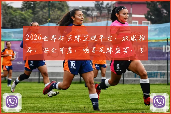2026世界杯买球正规平台，权威推荐，安全可靠，畅享足球盛宴，专业选择，必看攻略