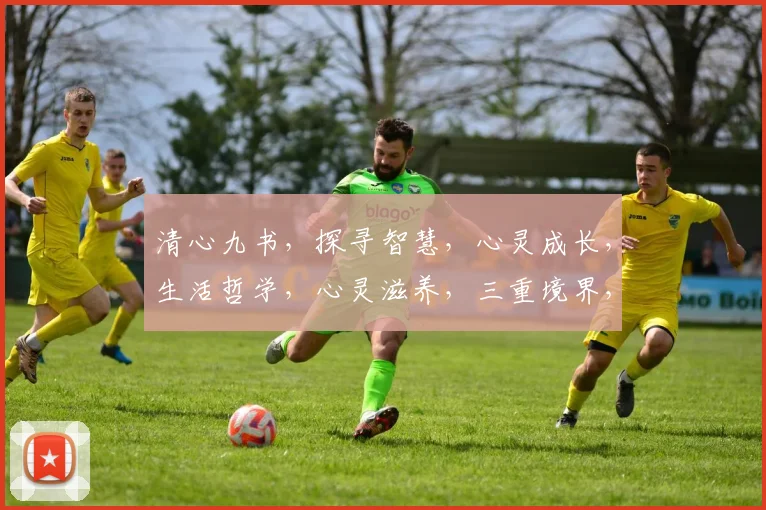 清心九书，探寻智慧，心灵成长，生活哲学，心灵滋养，三重境界，心灵之旅